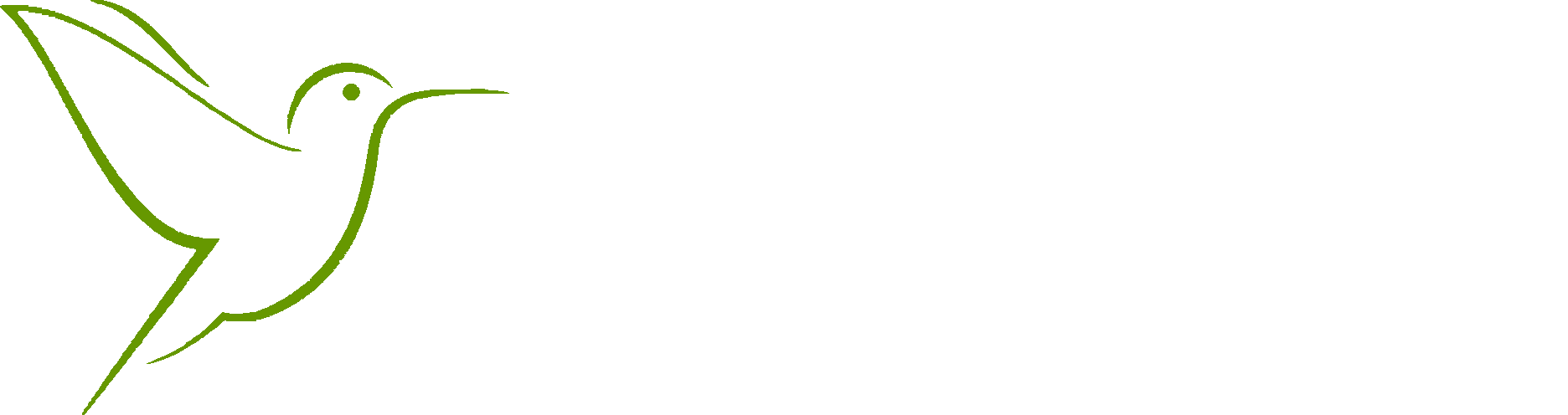 Мастерская Колибри